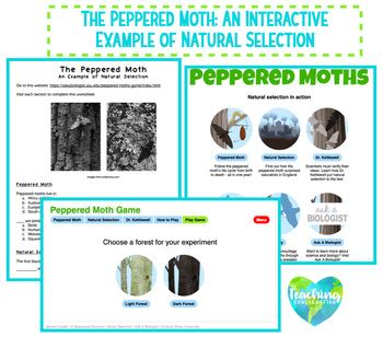 peppered moth interactive.